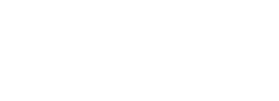 Bolt AI